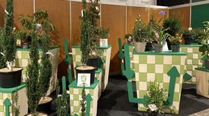 Green Grand Prix